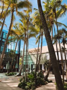 Outdoor shopping courtyard with palm trees, Florida